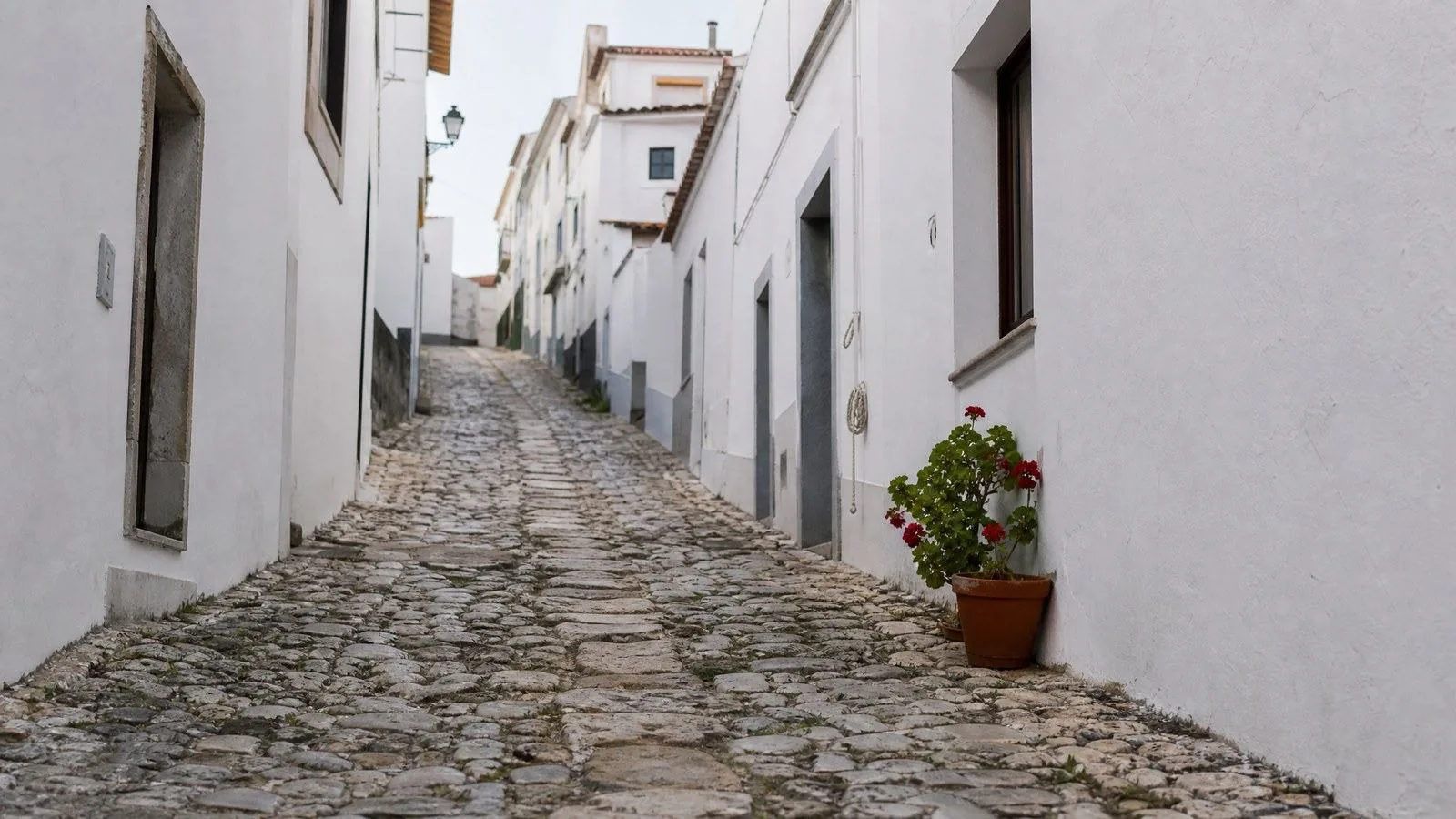 A steep cobbled lane climbing between whitewashed houses at first light